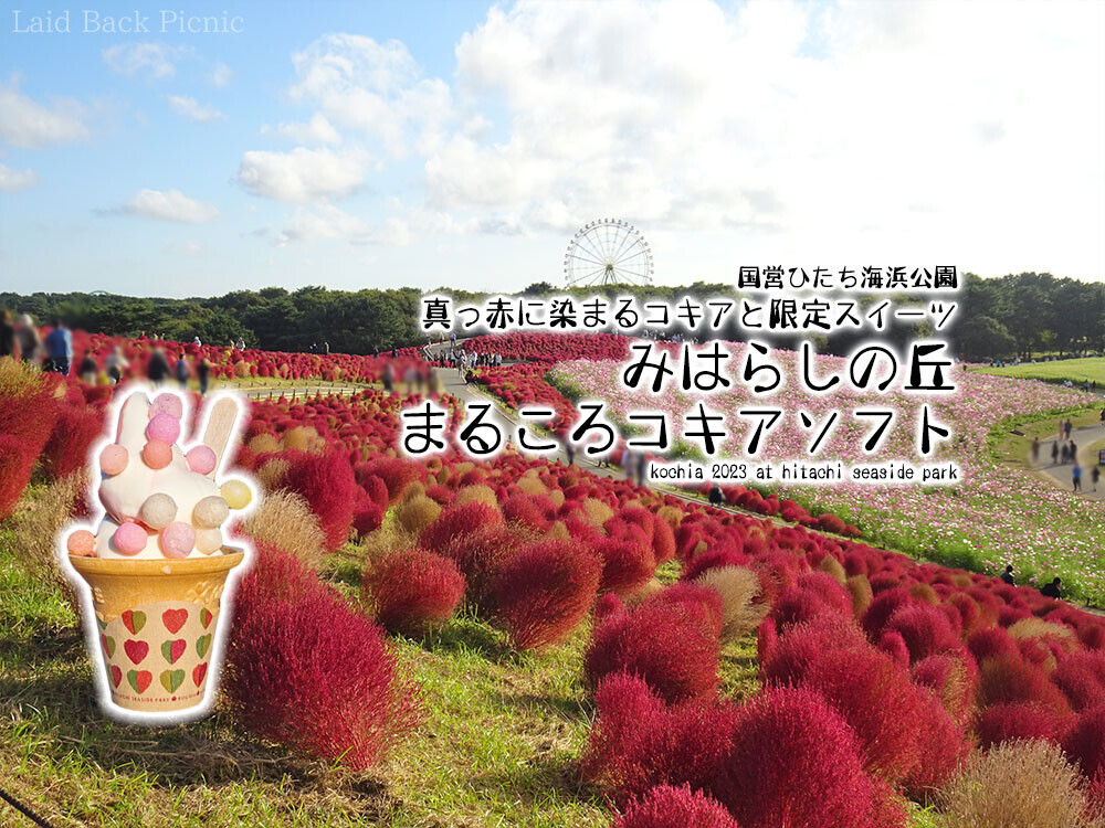 ブログ記事タイトル