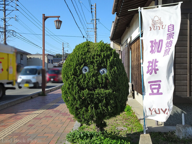 大きな目がこちらを見ている植木