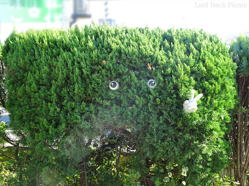 ピース付きでこちらを見る植木