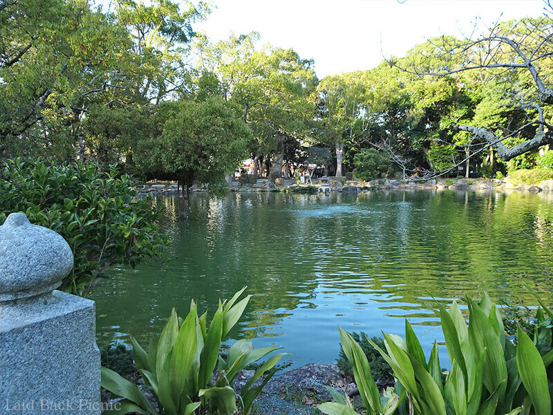 緑に囲まれた静かな池