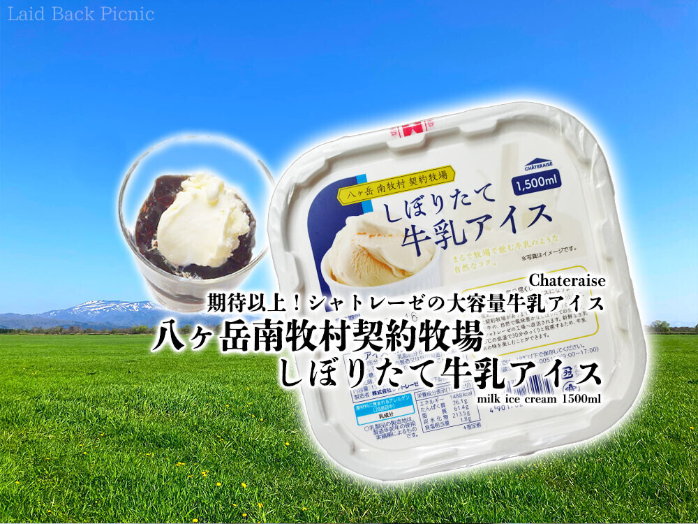 専用アイスグリーム+ラババイト 楽天市場】送料無料 AUSバニラアイスクリーム12(レッド)2