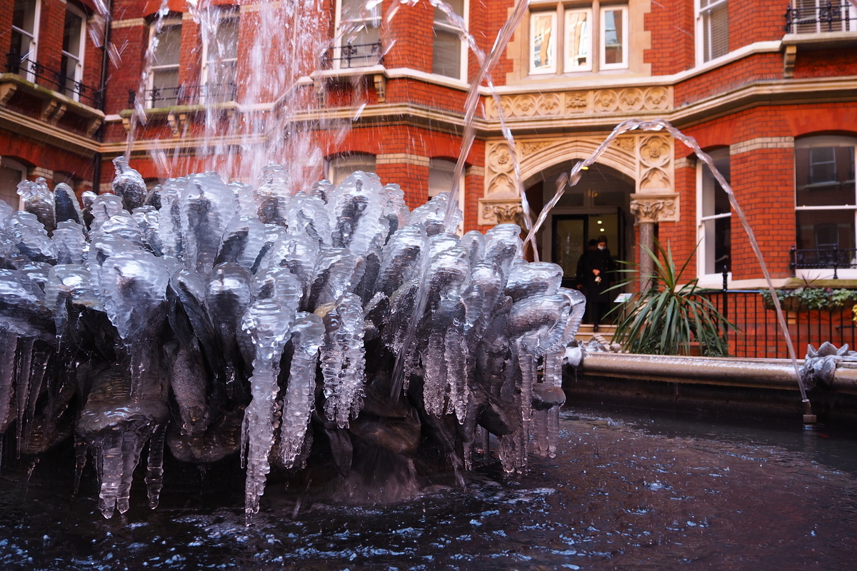 f:id:LDNinLD:20210215055733j:plain