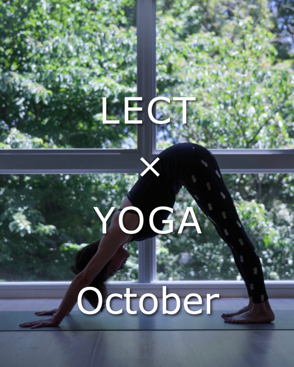 f:id:LECTgym:20200914200425p:plain f:id:LECTgym:20200914200425p:plain