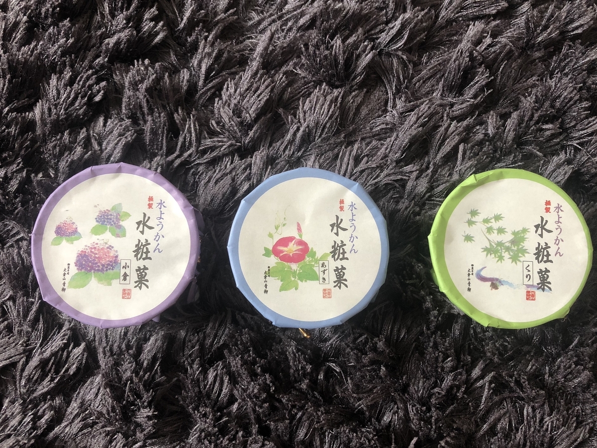 f:id:LECTgym:20210620172343j:plain