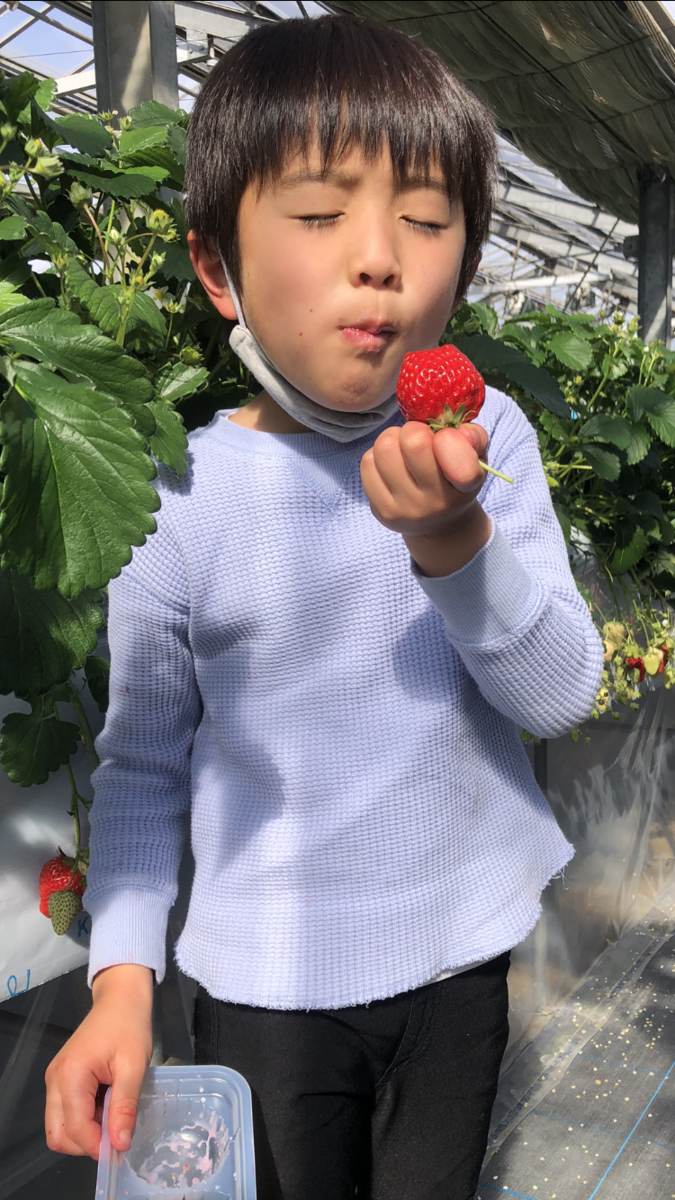 f:id:LECTgym:20220219210028p:plain