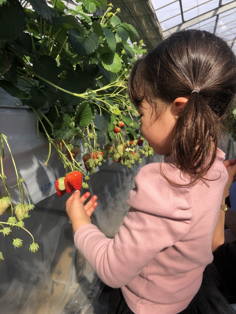 f:id:LECTgym:20220219210102j:plain