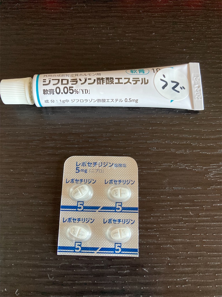 f:id:LEVANS-SAKURA:20210716133952j:image