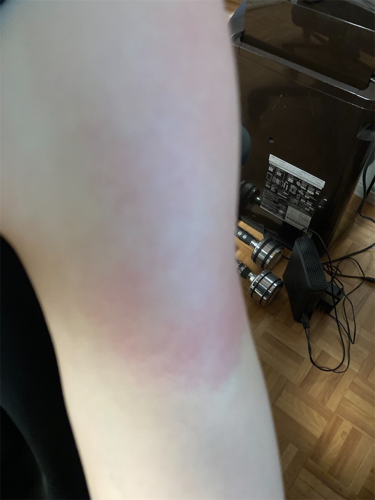 f:id:LEVANS-SAKURA:20210814192653j:image