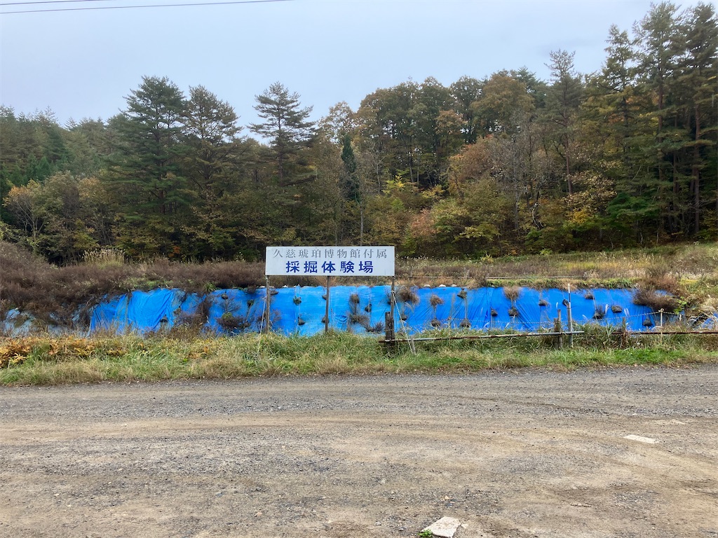 f:id:LEVANS-SAKURA:20241117134528j:image