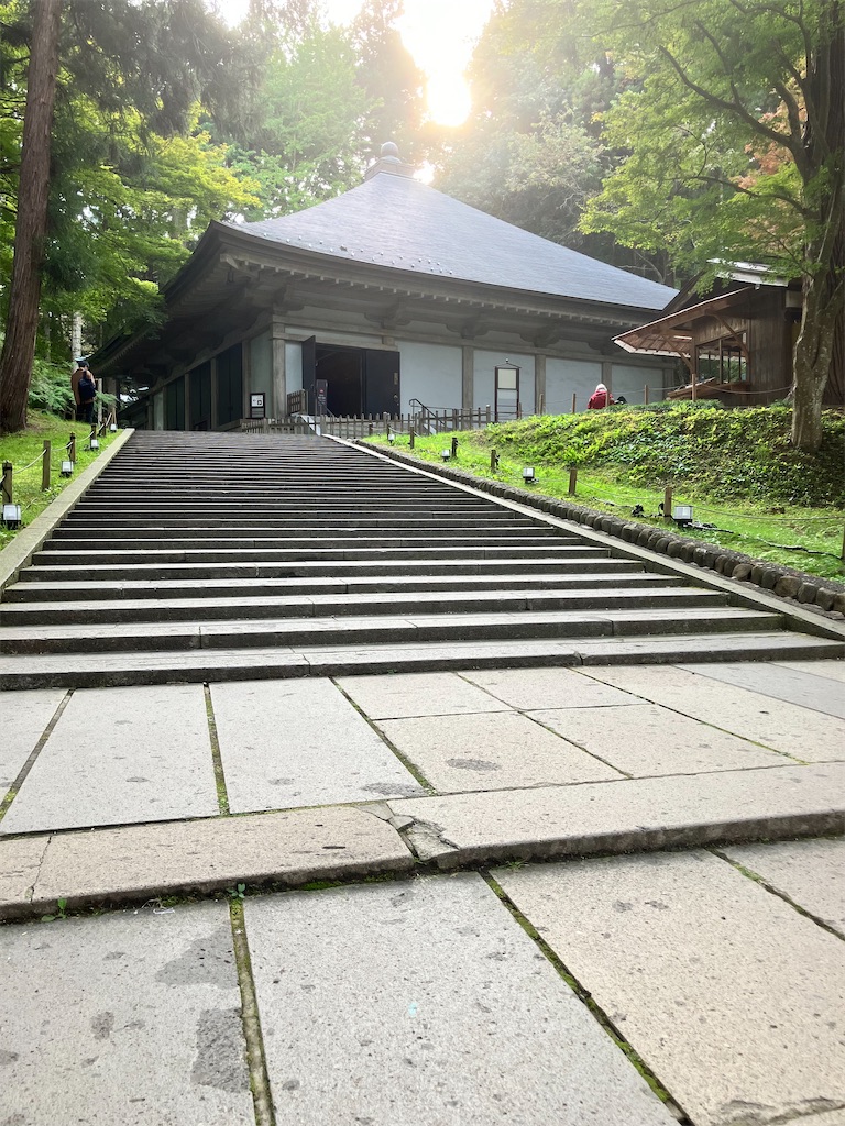 f:id:LEVANS-SAKURA:20241117134623j:image