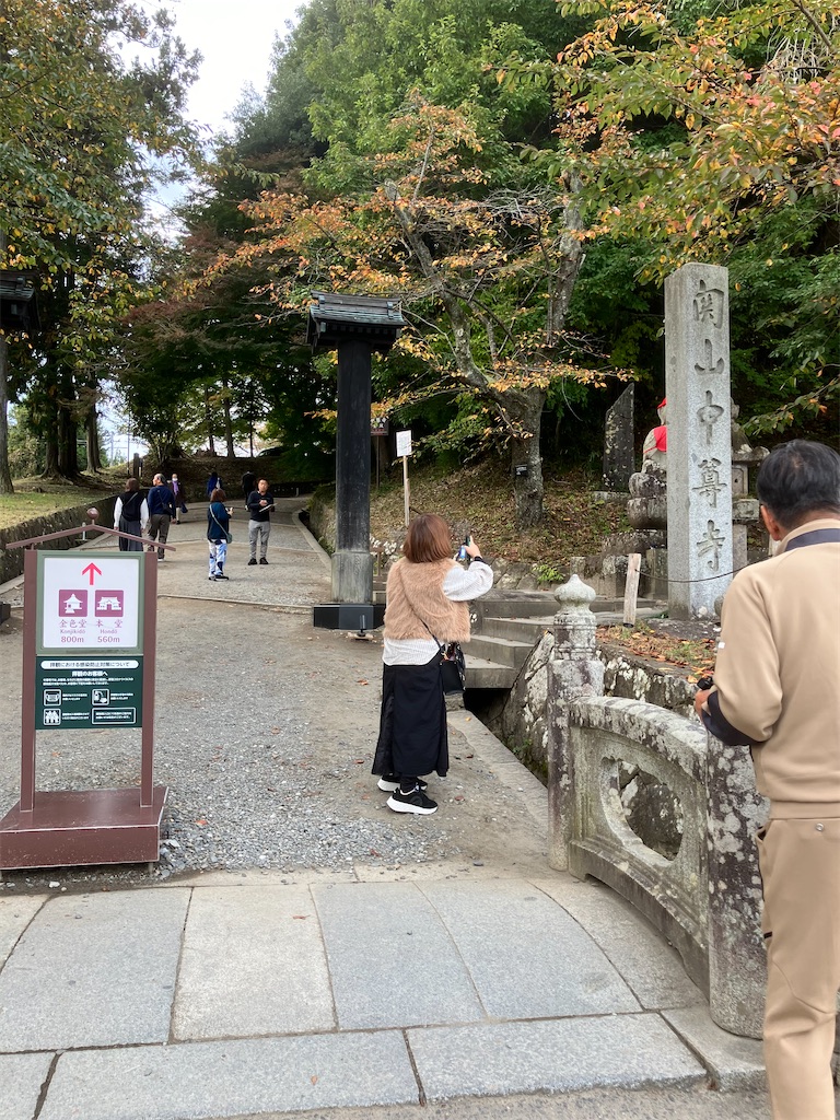 f:id:LEVANS-SAKURA:20241117134626j:image