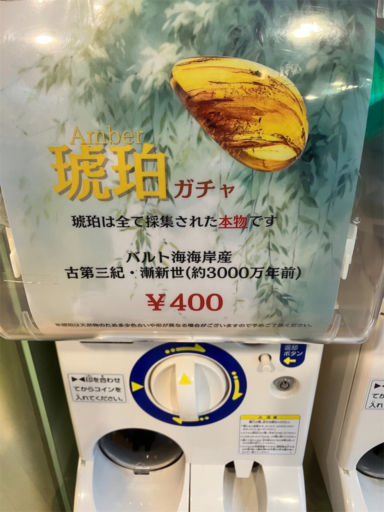 f:id:LEVANS-SAKURA:20241117134652j:image