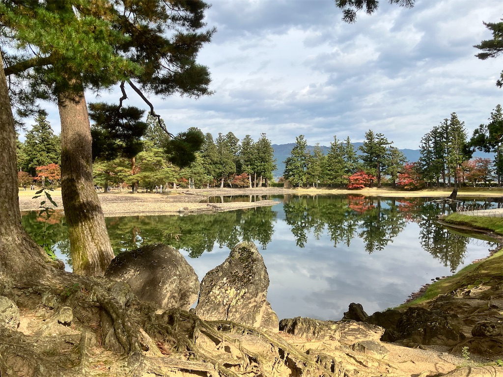 f:id:LEVANS-SAKURA:20241117134655j:image