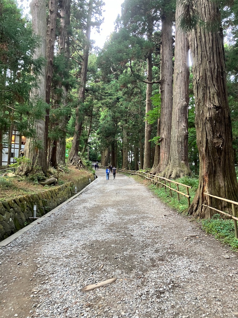 f:id:LEVANS-SAKURA:20241117134808j:image