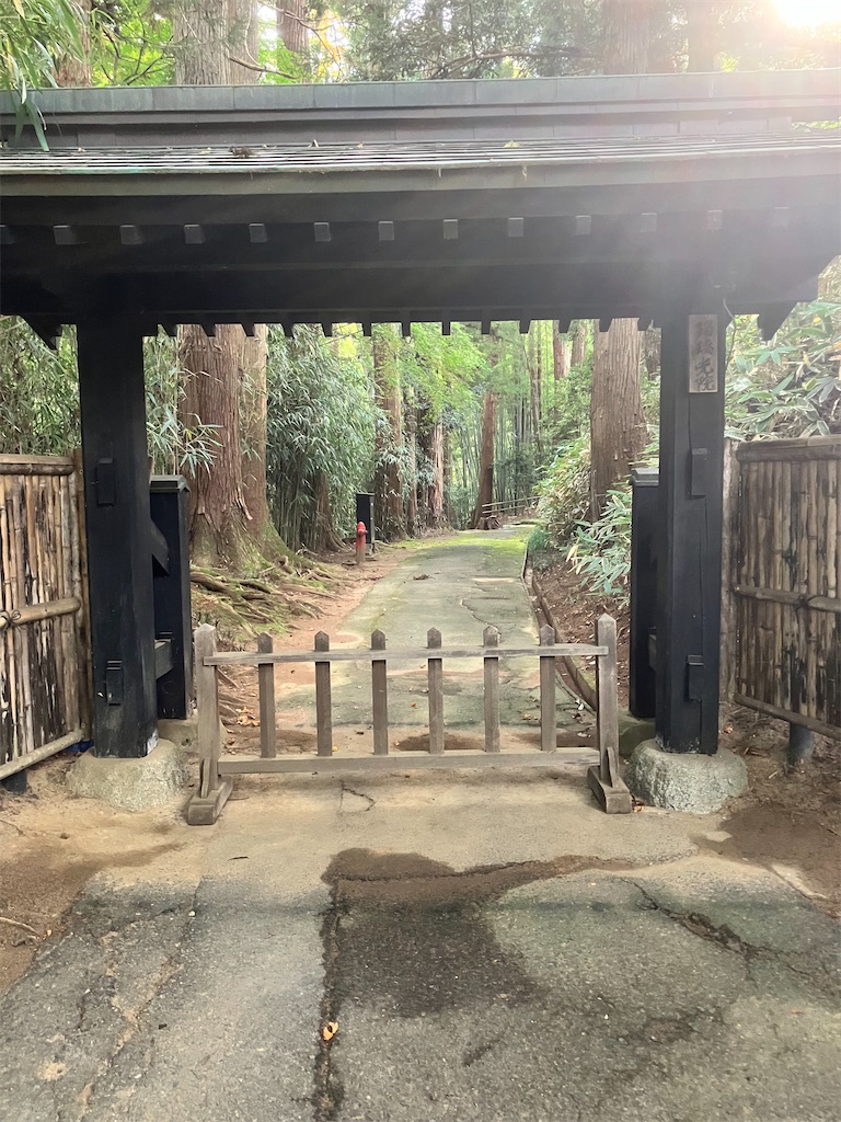 f:id:LEVANS-SAKURA:20241117134839j:image