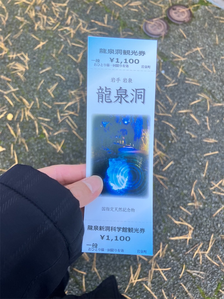 f:id:LEVANS-SAKURA:20241117134843j:image