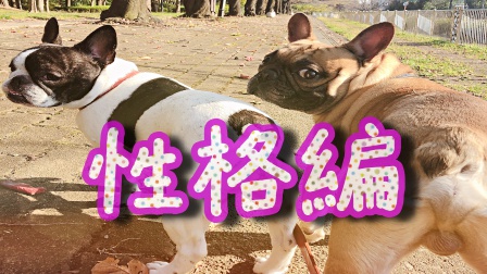 f:id:LGmama080312:20190313191436j:plain