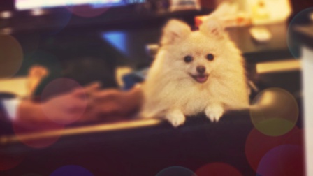 f:id:LGmama080312:20190314205105j:plain