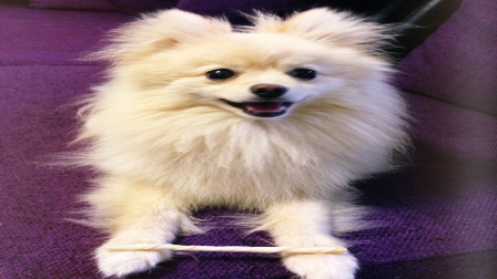 f:id:LGmama080312:20190314205419j:plain