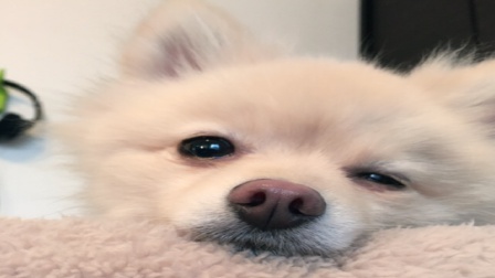 f:id:LGmama080312:20190314205840j:plain