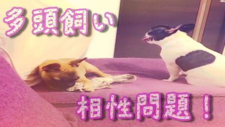 f:id:LGmama080312:20190316010618j:plain