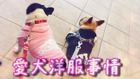 f:id:LGmama080312:20190316142130j:plain