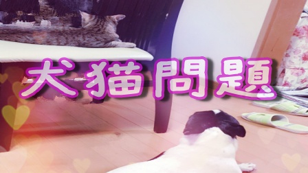 f:id:LGmama080312:20190316145858j:plain