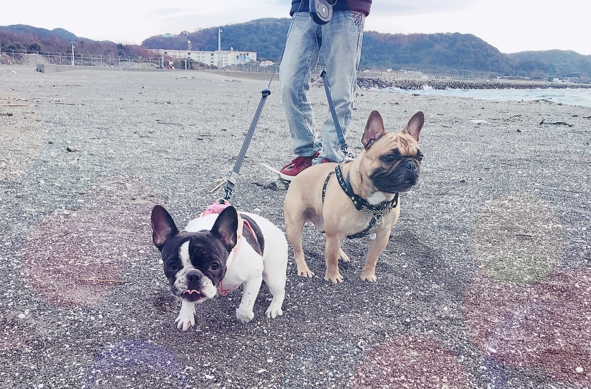 f:id:LGmama080312:20190319203200j:plain