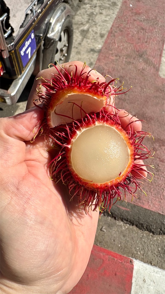 f:id:LH_2024:20260111111933j:image