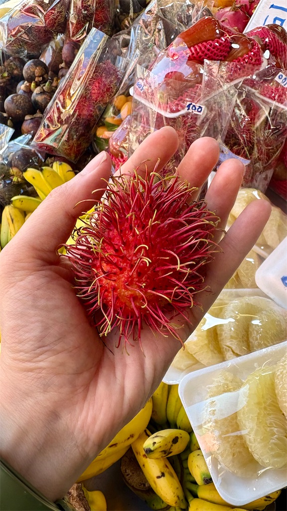 f:id:LH_2024:20260111111937j:image