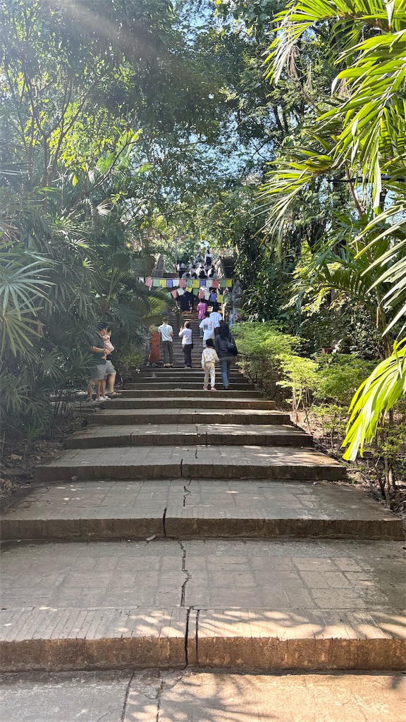 f:id:LH_2024:20260111115051j:image