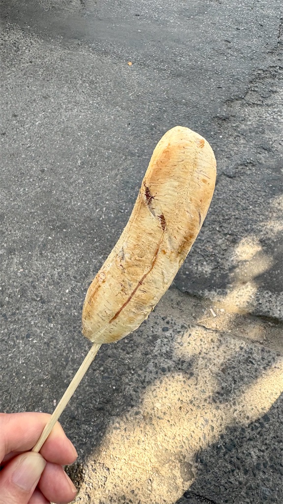 f:id:LH_2024:20260111115904j:image