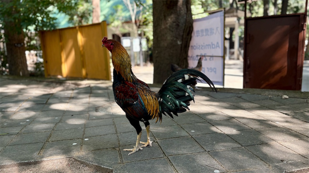 f:id:LH_2024:20260111115918j:image