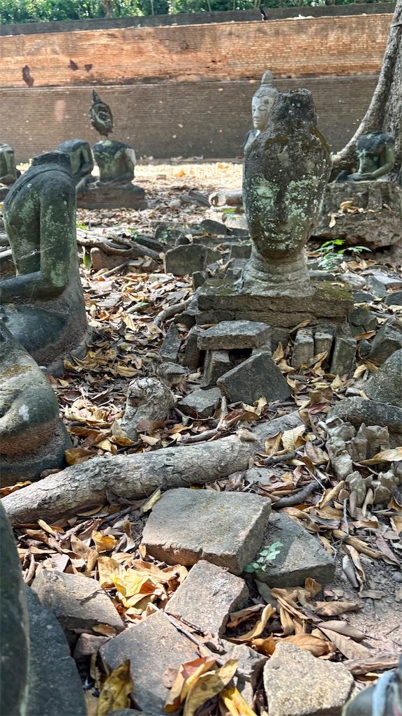 f:id:LH_2024:20260111120044j:image