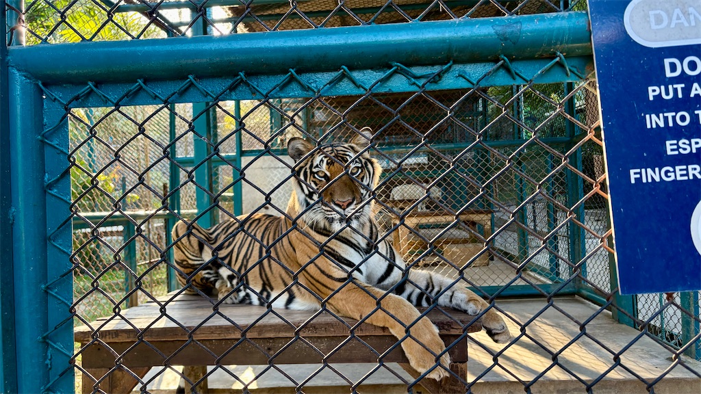 f:id:LH_2024:20260111121137j:image