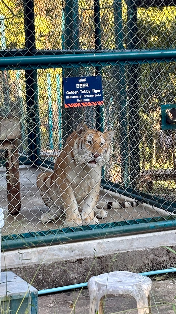 f:id:LH_2024:20260111121146j:image