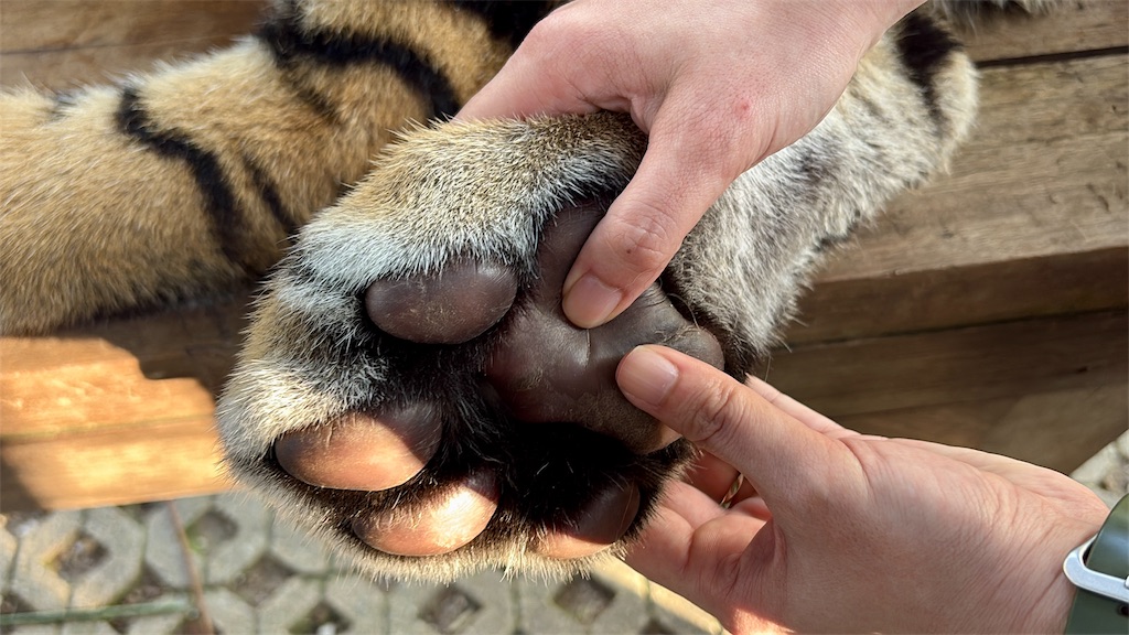 f:id:LH_2024:20260111121156j:image