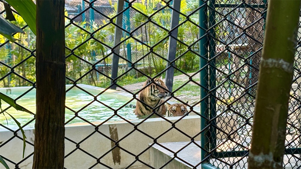 f:id:LH_2024:20260111121201j:image