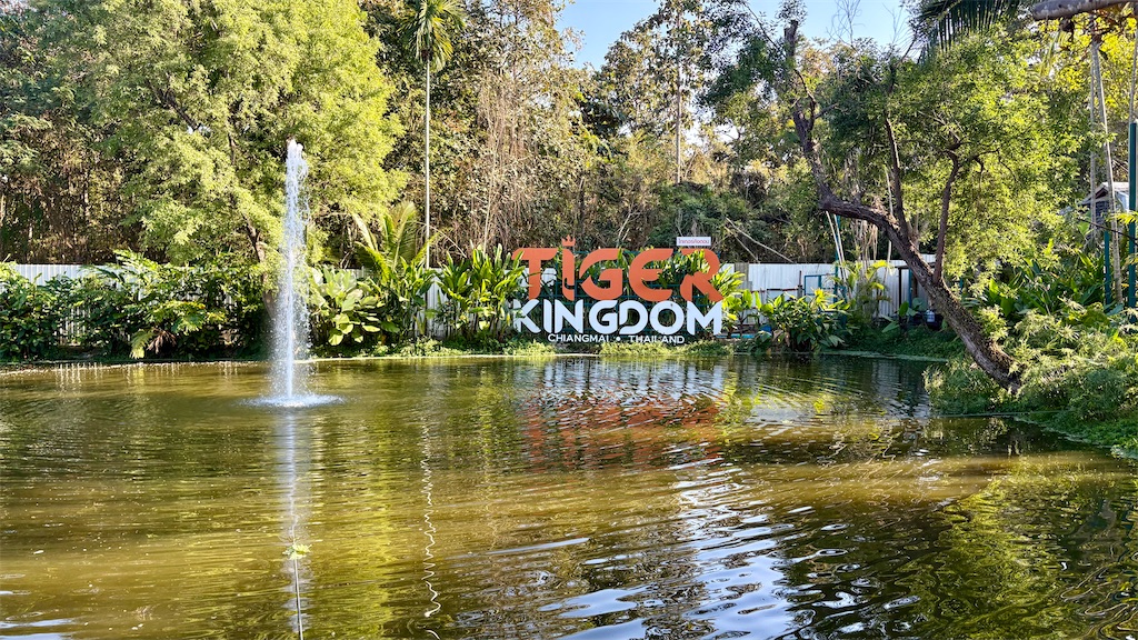 f:id:LH_2024:20260111121207j:image