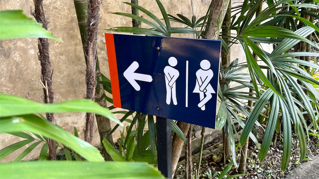 f:id:LH_2024:20260111121212j:image