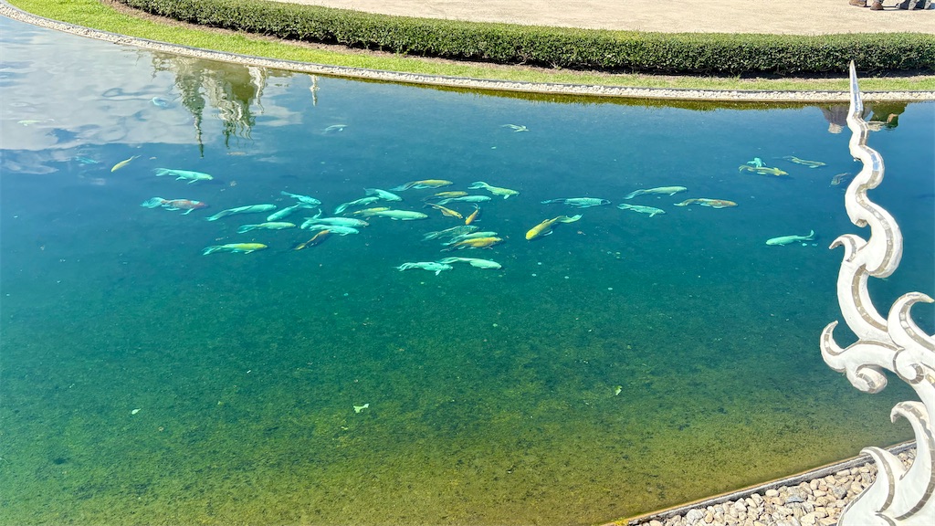 f:id:LH_2024:20260111230434j:image