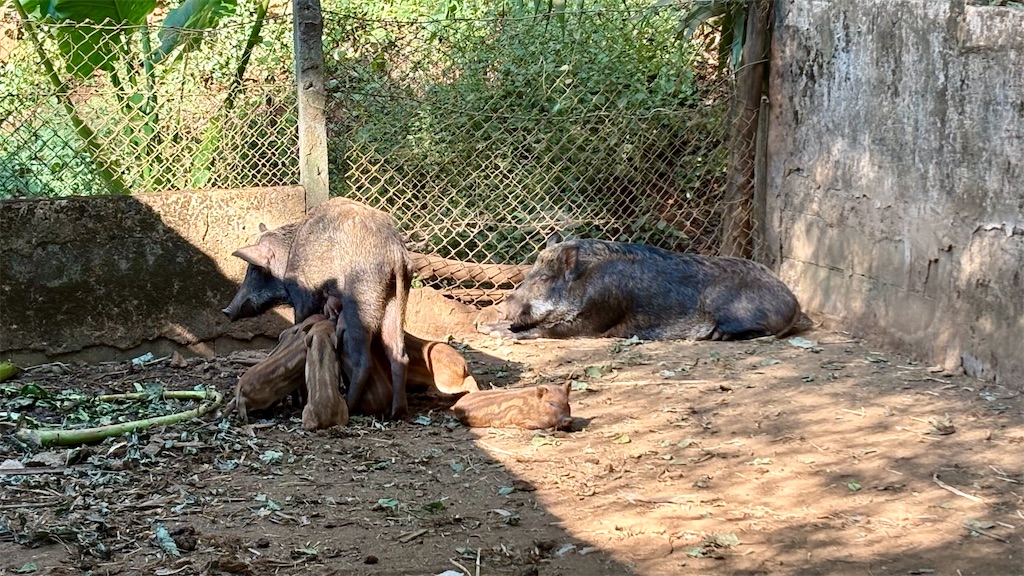 f:id:LH_2024:20260111232507j:image