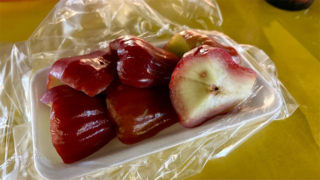 f:id:LH_2024:20260112000221j:image