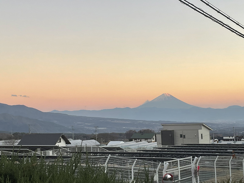 夕方の富士山