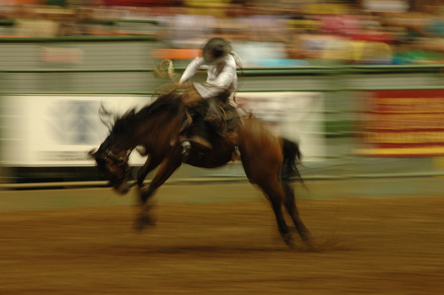 2026年の干支は丙午（ひのえ・うま）。「午尻下がり」が暗示するのは激動の市場転換？