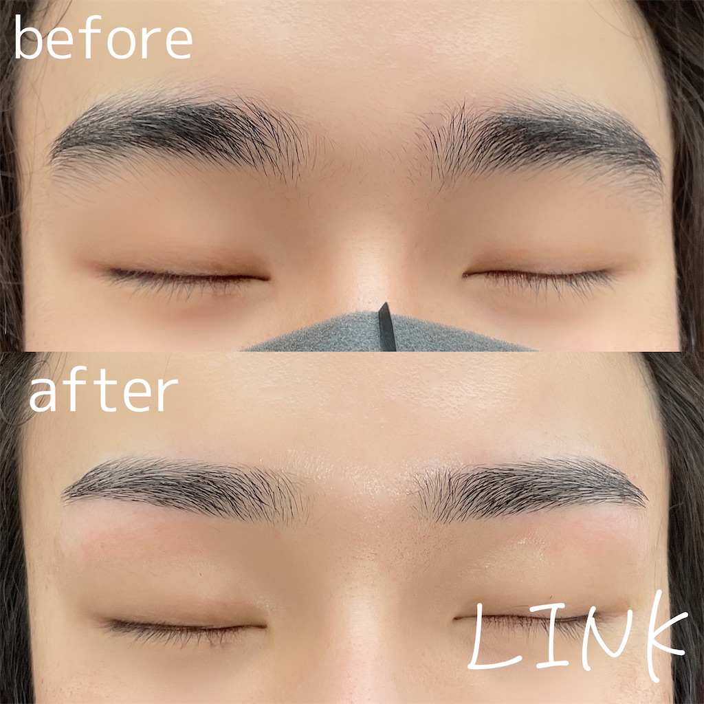 f:id:LINKmenseyebrow:20210908152100j:image