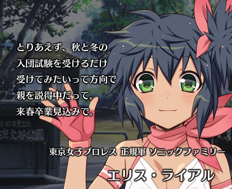 f:id:LITTLEWING:20170726180348j:plain