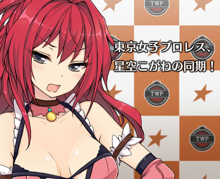 f:id:LITTLEWING:20171127211149j:plain f:id:LITTLEWING:20171127211149j:plain