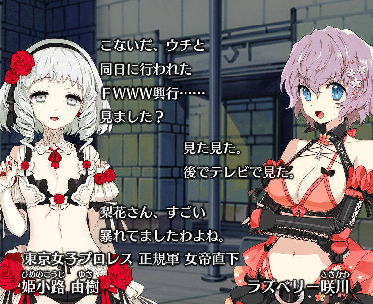 f:id:LITTLEWING:20180524211153j:plain