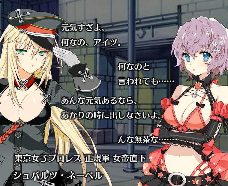 f:id:LITTLEWING:20180524211159j:plain